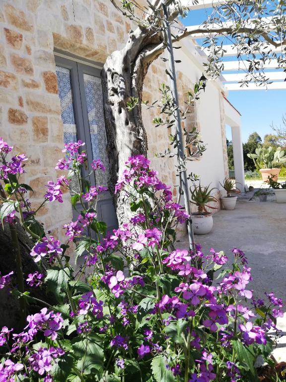 Holiday Home Trullo Antico room 1
