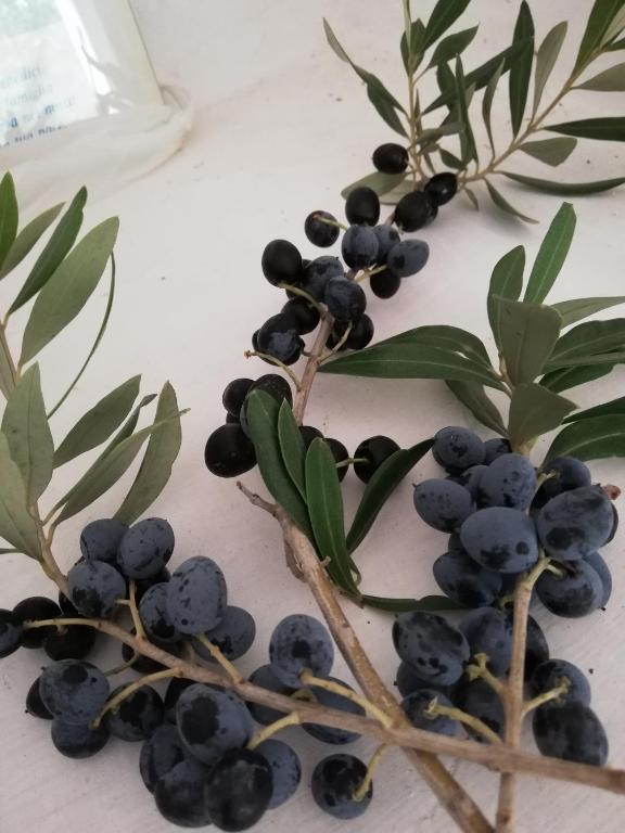 Holiday Home Trullo Antico room 5