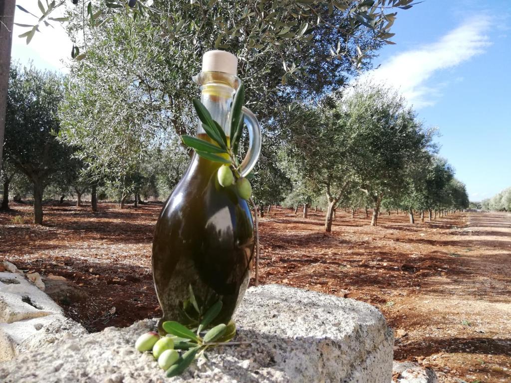 Holiday Home Trullo Antico room 6